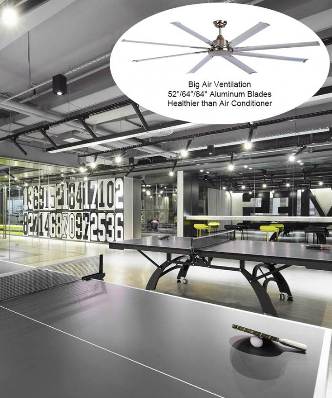 OEM Remote Control Workout Room Ceiling Fans With Light Gymnasium