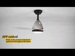 Noiseless 110V 240V Dimmable LED Ceiling Fan With 3 Colors Change Light