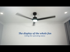 220V 240V 50HZ Plastic Ceiling Fan With Lights 37.6W DC Motor 5 Speed