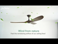 60 Inches White Led Ceiling Fan Quiet Dc Motor Modern Fan Light