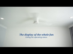 Dimmable Led Ceiling Fan With Remote Control Low-Ceiling Living Room Modern