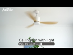 Plastic Blade Ceiling Fan With Dimmable Led Ceiling Fan Downrod Mount Indoor