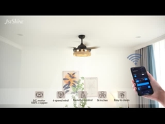 Rope Cage Hidden Blade Ceiling Fan Light With Remote Control Dc Motor