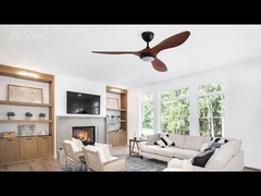 Indoor DC Ceiling Fan With Light 3 ABS Blade Lower Noise for school
