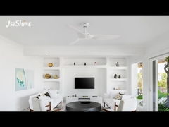 Matte White Ceiling Fan With DC Motor Energy Saving Indoor