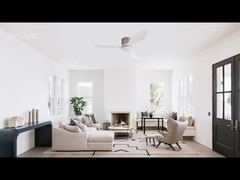 Modern Ceiling Fan 48'' Plastic Blades DC Motor Dual-Function Model with Optional Light Kit