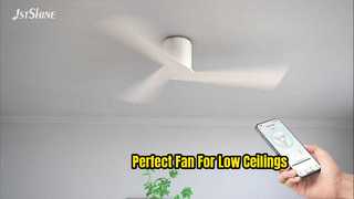 Best Low Profile Ceiling Fan for Low Ceilings