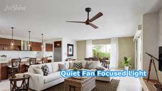 42 Inch DC Motor Ceiling Fan With Spotlight