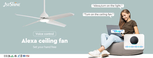 Latest company news about Ceiling Fan Light Trends: What to Expect in the Coming Years