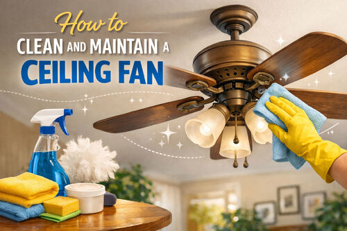 Latest company news about How to Clean and Maintain a Ceiling Fan