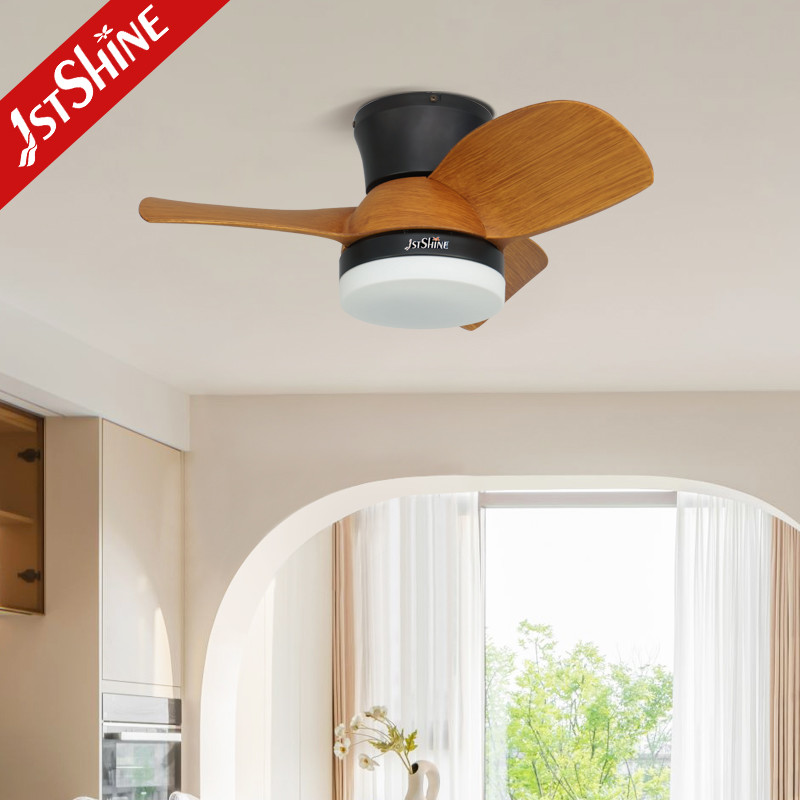 Decorative Quiet DC Motor Flush Mount Small Size Led Ceiling Fan With Light