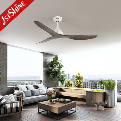 52" Ceiling Fan With Dc Motor 3 Plastis Blades Modern Decorative Ceiling Fan