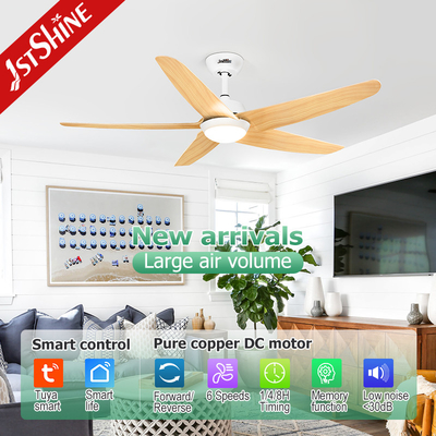 OEM Smart LED Ceiling Fan With Plastic Blade Modern Indoor Decoration