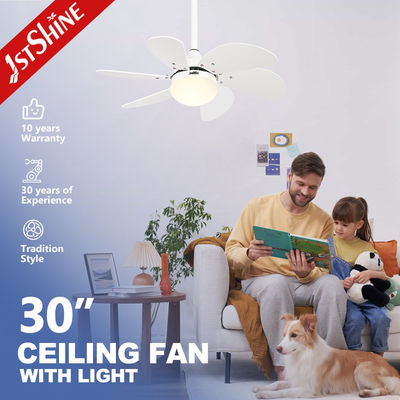 Good price White Ceiling Fan Light Kids' Room DC Motor 30 Inch Mini LED Ceiling Fan online
