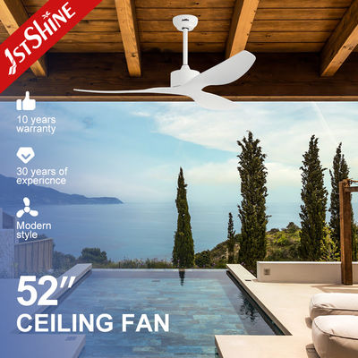 Good price 52 Inches Modern ABS Blade Ceiling Fan with 6 Speed Remote Control and High Efficiency DC Motor online