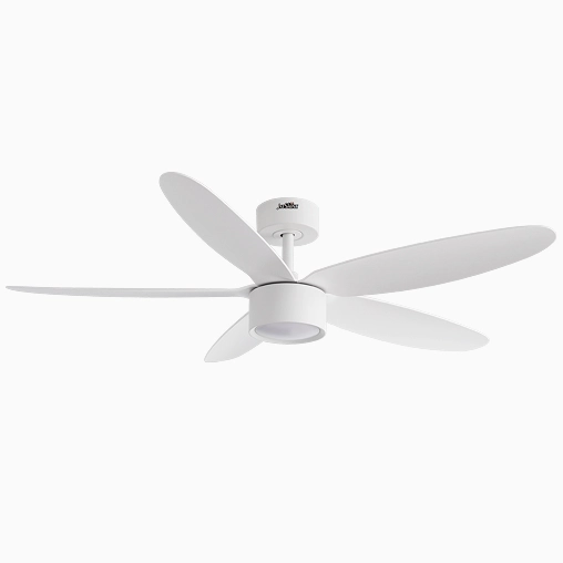 DC Motor Ceiling Fan 35W 10000+ Energy Saving Certified 3
