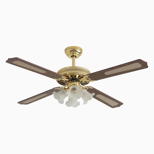 Low Consumption Energy Saver Ceiling Fan for Daily Use 2